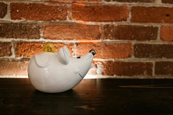 Crédit auto ou location longue durée : quelle option choisir ?